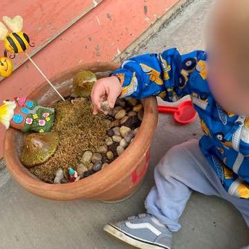 Fairy garden explorer